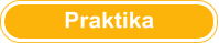 Berichte Praktika