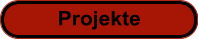 Berichte Projekte