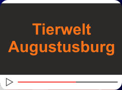 Tierwelt Augustusburg