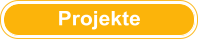 Berichte Projekte