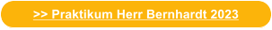 >> Praktikum Herr Bernhardt 2023