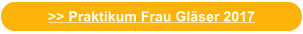 >> Praktikum Frau Gläser 2017