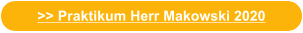 >> Praktikum Herr Makowski 2020