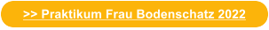 >> Praktikum Frau Bodenschatz 2022