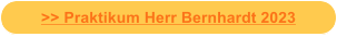 >> Praktikum Herr Bernhardt 2023