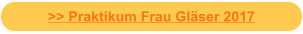 >> Praktikum Frau Gläser 2017