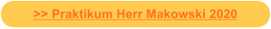 >> Praktikum Herr Makowski 2020