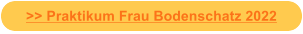 >> Praktikum Frau Bodenschatz 2022