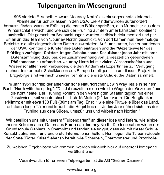Tulpengarten im Wiesengrund  1995 startete Elisabeth Howard "Journey North" als ein sogenanntes Internet-Abenteuer für Schulklassen in den USA. Die Kinder wurden aufgefordert herauszufinden, wann im Frühling die ersten Blätter sprießen, das Murmeltier aus dem Winterschlaf erwacht und wie sich der Frühling auf dem amerikanischen Kontinent ausbreitet. Die gemachten Beobachtungen wurden akribisch dokumentiert und per Email an das Team von "Journey North" geschickt. Von dort kamen nun regelmäßige Berichte, die alle eingeschickten Daten auswerteten. Auf Landkarten, bisher nur denen der USA, konnten die Kinder ihre Daten eintragen und die "Gezeitenwelle" des Frühlings verfolgen. Seitdem tragen Zehntausende Schulkinder jedes Jahr mit ihrer Datensammlung dazu bei, den Zusammenhang von jahreszeitlich gebundenen Phänomenen zu erforschen. Journey North ist mit vielen Wissenschaftlern und Wissenschaftlerinnen verbunden, die den Kindern als ExpertInnen zur Verfügung stehen. Immer mehr Schulklassen aus Europa beteiligen sich an diesem Projekt. Im Erzgebirge sind wir nach unserer Kenntnis die erste Schule, die Daten sammelt.  Im Jahr 1951 schrieb der amerikanische Naturforscher Edwin Way Teale in seinem Buch "North with the spring": "Die Jahreszeiten rollen wie die Wogen der Gezeiten über die Kontinente. Der Frühling kommt in den Vereinigten Staaten täglich mit einer Geschwindigkeit von durchschnittlich 15 Meilen (24 km) voran. Die Bergflanken erklimmt er mit etwa 100 Fuß (30m) am Tag. Er rollt wie eine Flutwelle über das Land, rast durch lange Täler und kraucht die Hügel hoch. …Jedes Jahr nähert sich uns der Frühling aus dem Süden, umspült uns und wirbelt nach Norden."  Wir beteiligen uns mit unserem "Tulpengarten" an dieser Idee und liefern, wie einige andere Schulen auch, Daten aus Europa an Journey North. Die Idee sahen wir an der Grundschule Gablenz in Chemnitz und fanden sie so gut, dass wir mit dieser Schule Kontakt aufnahmen und uns erste Informationen holten. Nun liegen die Tulpenzwiebeln der Sorte "Roter Kaiser" ebenso bereit, wie Schaufeln, Thermometer und Protokolle.  Zu welchen Ergebnissen wir kommen, werden wir auch hier auf unserer Homepage veröffentlichen.  Verantwortlich für unseren Tulpengarten ist die AG "Grüner Daumen".   www.learner.org